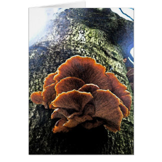 Mushroom Fresco Cards