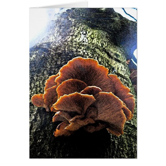 Mushroom Fresco Cards (Front)