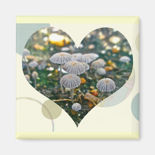 Mushroom Garden Heart Magnet (Front)