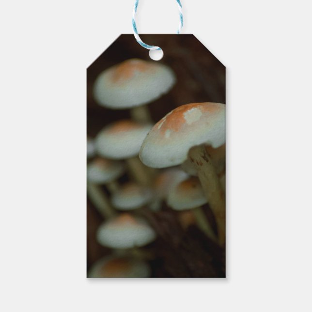 Mushroom gift tags (Front)