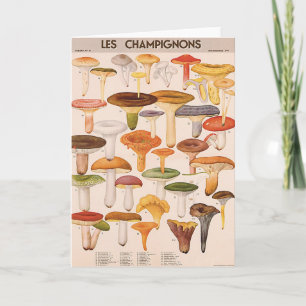 Mushroom Greeting Card