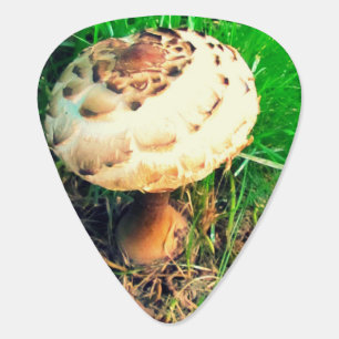 Mushroom Guitar Pick