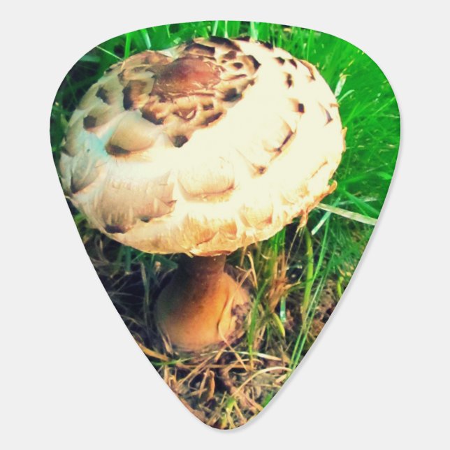 Mushroom Guitar Pick (Back)