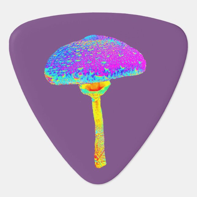 Mushroom Guitar Pick (Front)