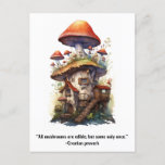 Mushroom house All mushrooms are edible Postcard