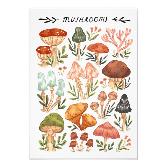 Mushroom Hunter Mushrooms Style Photo Print (Front)