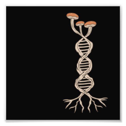 Mushroom Hunting DNA Morels Hunter Mycologist Grap Photo Print