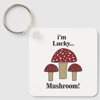 Mushroom I'm Lucky Mushroom 