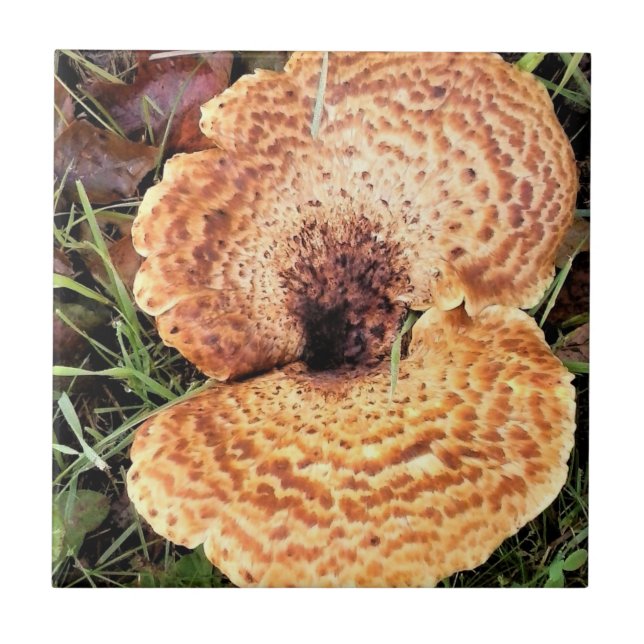 Mushroom in the Forest Ceramic Tile (Front)