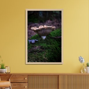 Mushroom in the Forest Framed Art