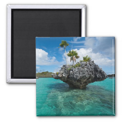 Mushroom Islets In Fiji Magnet