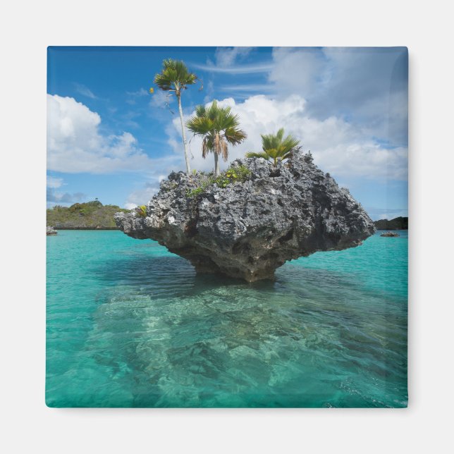 Mushroom Islets In Fiji Magnet (Front)