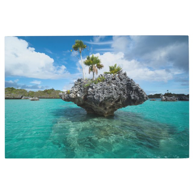 Mushroom Islets In Fiji Metal Print (Front)