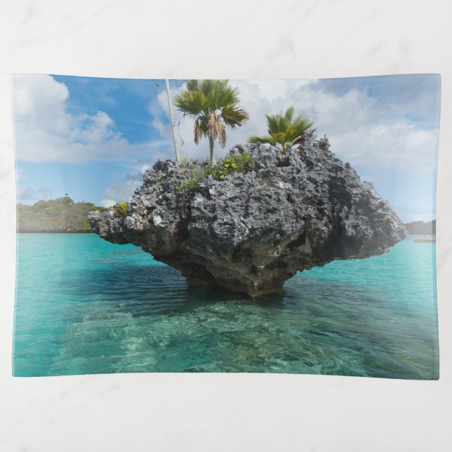 Mushroom Islets In Fiji Trinket Tray (Front)