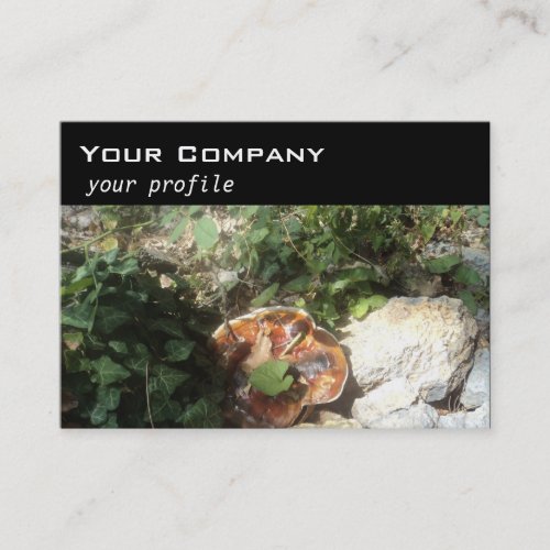 mushroom ,ivy ,stones business card template