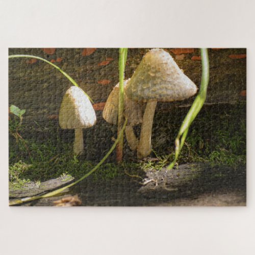 Mushroom Jigsaw Puzzle