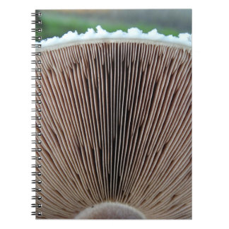 Mushroom Journal