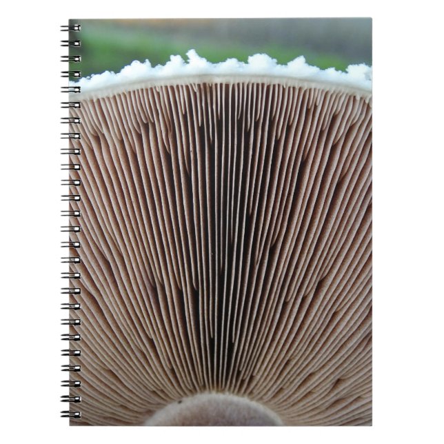 Mushroom Journal (Front)