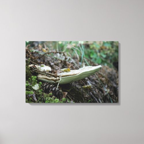 Mushroom Kingdom 2 Canvas Print