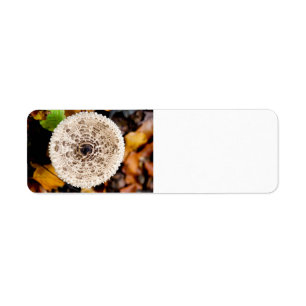 Mushroom Label