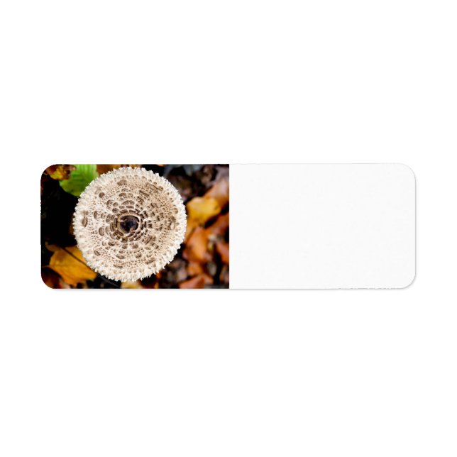 Mushroom Label (Front)
