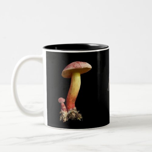 Mushroom lovers mug