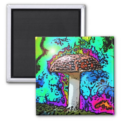 Mushroom Magnet