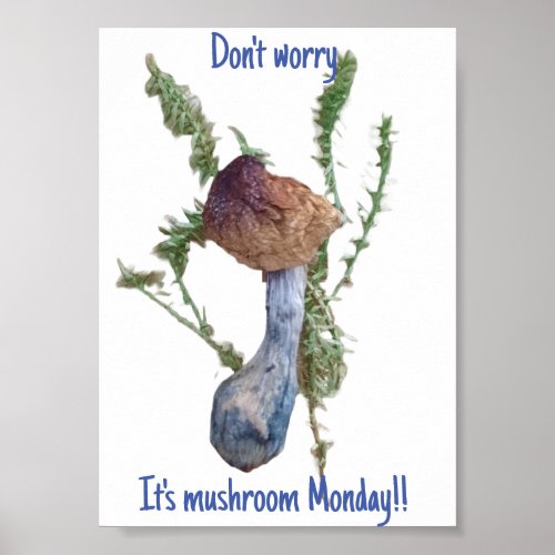 Mushroom Monday begins Poster