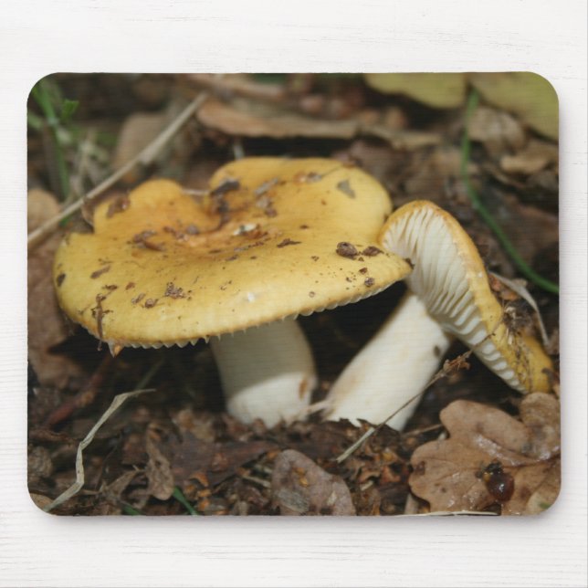 Mushroom Mouse Mat (Front)