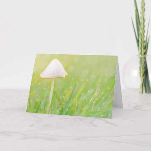 Mushroom Nature Birthday Card