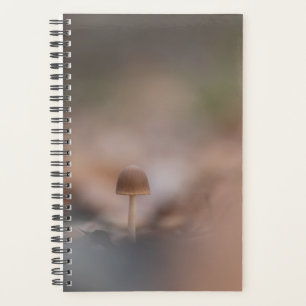 Mushroom Nature Photo Card Planner