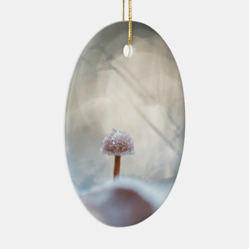 Mushroom Nature Photo Ceramic Ornament