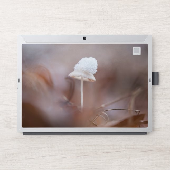 Mushroom Nature Photo HP Laptop Skin (Front)