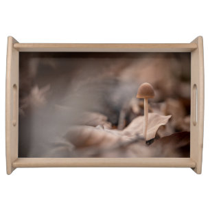 Mushroom Nature Photo Serving Tray