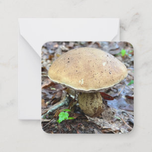 Mushroom Note Card