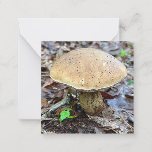 Mushroom Note Card