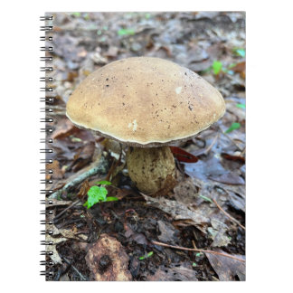 Mushroom Notebook