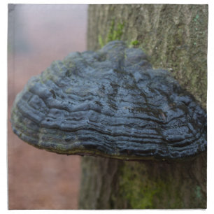 Mushroom on a tree trunk in the forest napkin