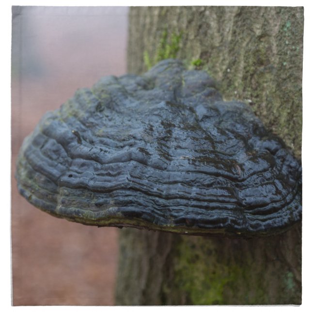 Mushroom on a tree trunk in the forest napkin (Front)