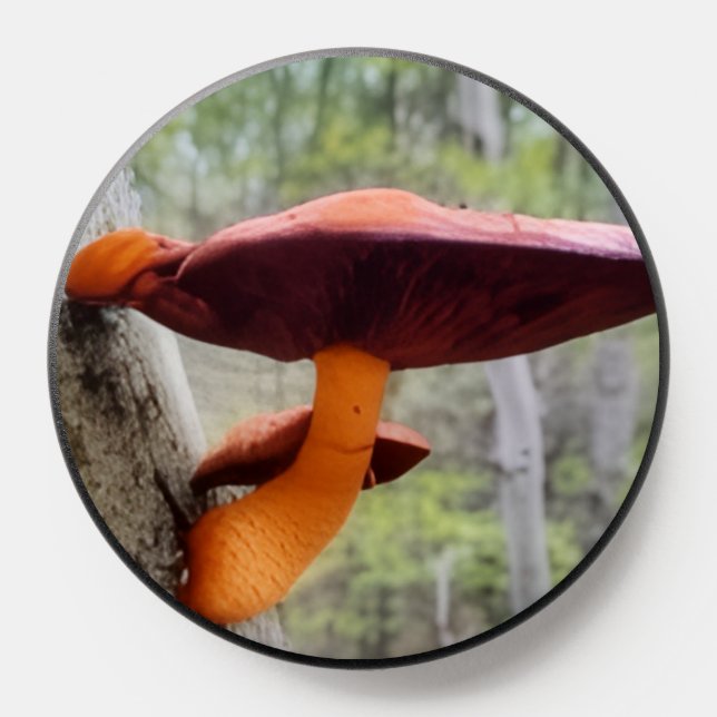 Mushroom Phone Pop-socket  PopSocket (Popsocket)