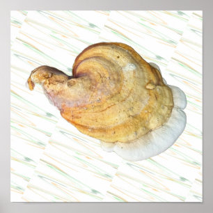 Mushroom Photo Poster