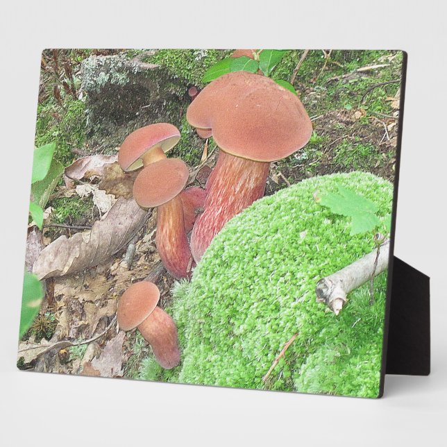 Mushroom Plaque (Side)
