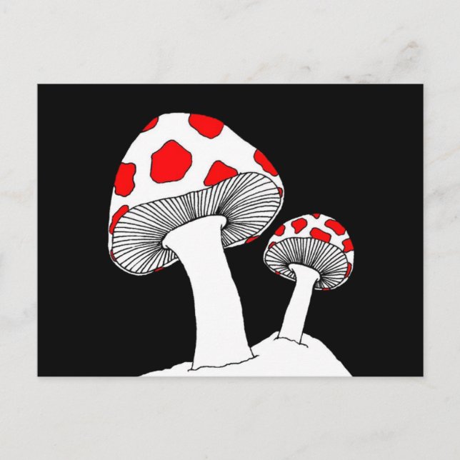 Mushroom Postcard (Front)