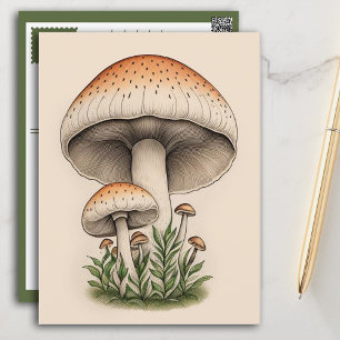 mushroom postcard