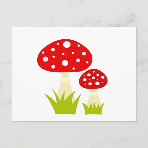 Mushroom Postcard