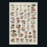 Mushroom Poster<br><div class="desc">Mushroom Poster</div>