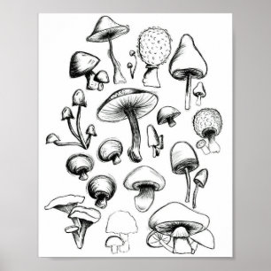 Mushroom Poster