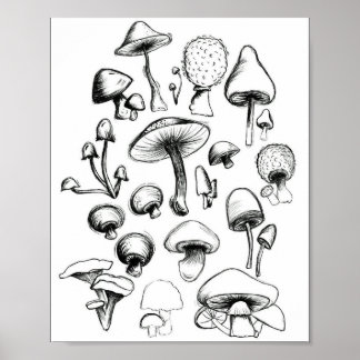 Mushroom Poster