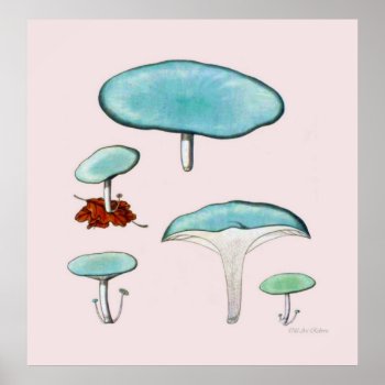 Mushroom Poster Series Third Of Eight by OldArtReborn at Zazzle