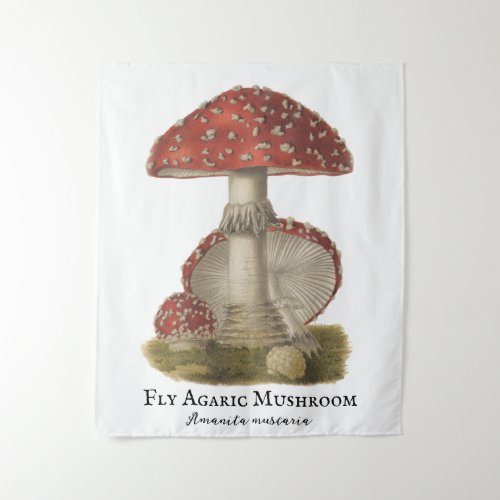 Mushroom Red Magic Vintage 1800s  Tapestry